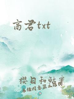 商君txt