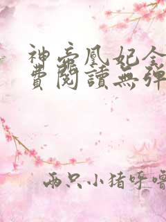 神帝凰妃全文免费阅读无弹窗笔趣阁