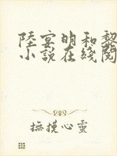 陆宴明和黎甄的小说在线阅读
