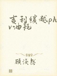 吉利缤越phev油耗