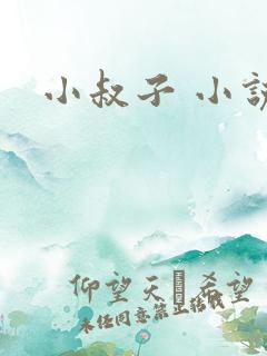 小叔子 小说