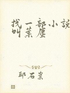 找一部小说主角叫叶尘