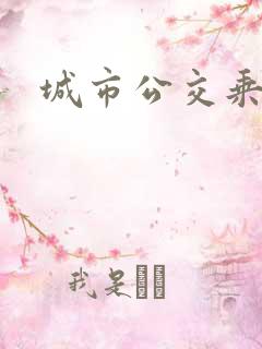 城市公交乘车码