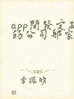 app开发定制的公司那家好