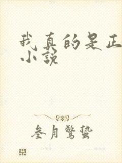 我真的是正派的小说