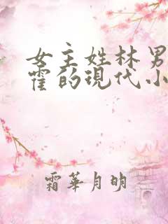 女主姓林男主姓霍的现代小说