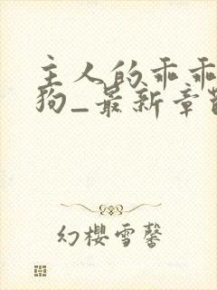 主人的乖乖小母狗_最新章节