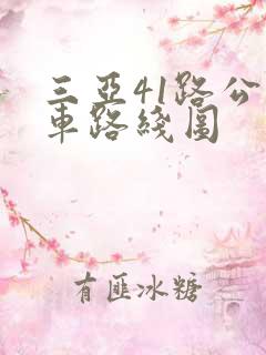 三亚41路公交车路线图 三亚41路公交车路线图