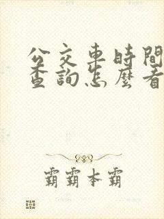 公交车时间实时查询怎么看
