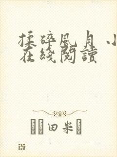 揉碎风月 小说在线阅读