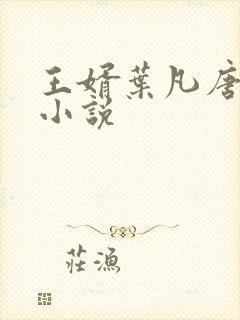王婿叶凡唐若雪小说