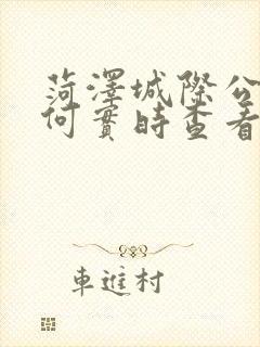 菏泽城际公交如何实时查看车辆情况