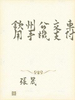钦州公交车怎么用手机支付