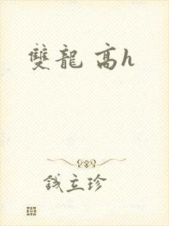 双龙 高h