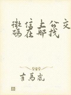 微信上公交乘车码在哪找