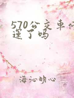 570公交车停运了吗