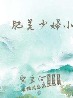 肥美少妇小说