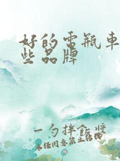 好的电瓶车有哪些品牌