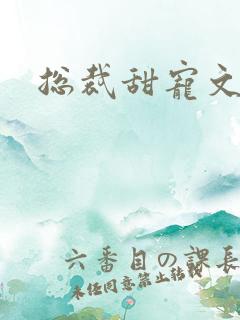 总裁甜宠文推荐