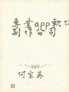 专业app软件制作公司