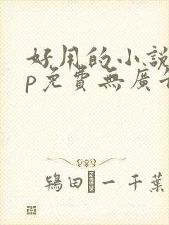 好用的小说app免费无广告 好用的小说app免费无广告