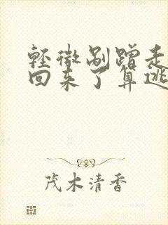轻微剐蹭走了又回来了算逃逸吗