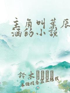 主角叫叶辰苏雨涵的小说 主角叫叶辰苏雨涵的小说