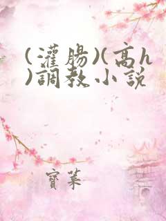 (灌肠)(高h)调教小说