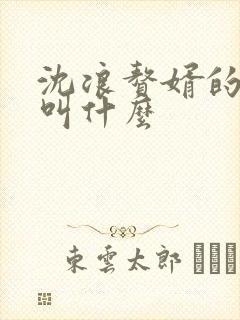 沈浪赘婿的小说叫什么