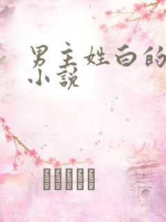男主姓白的总裁小说