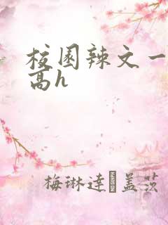 校园辣文一对一高h
