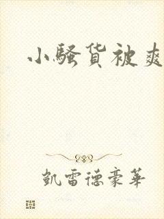 小骚货被爽视频