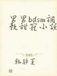 男男bdsm调教甜宠小说