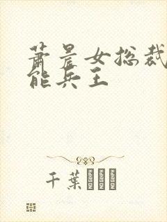 萧晨女总裁的全能兵王