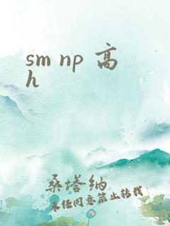 sm np 高h