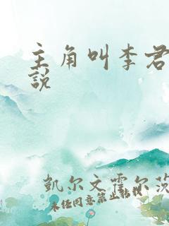 主角叫李君的小说