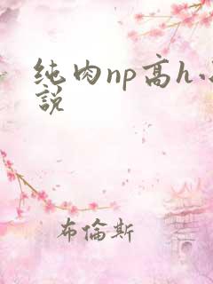 纯肉np高h小说