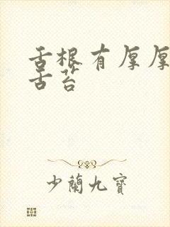舌根有厚厚的黄舌苔