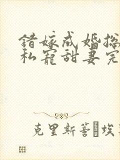 错嫁成婚总裁的私宠甜妻完整版 错嫁成婚总裁的私宠甜妻完整版