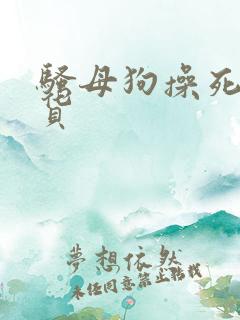 骚母狗操死你贱货