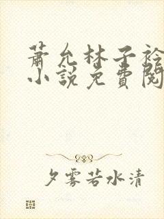 萧允林子衿穿越小说免费阅读无弹窗