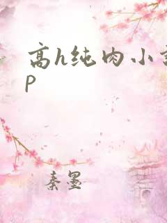 高h纯肉小说np