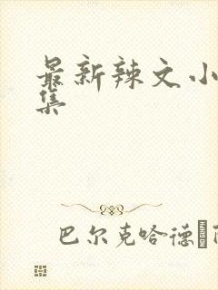 最新辣文小说合集