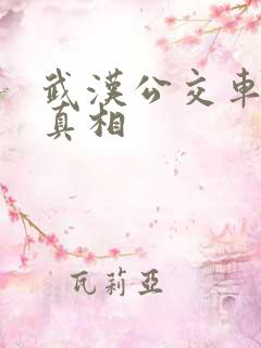 武汉公交车事件真相