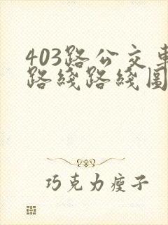 403路公交车路线路线图