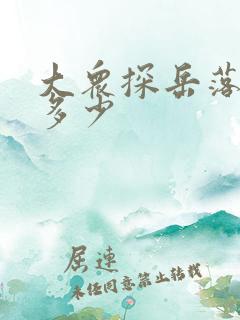 大众探岳落地价多少