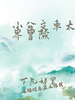 小公交车太友世界冒险 小公交车太友世界冒险