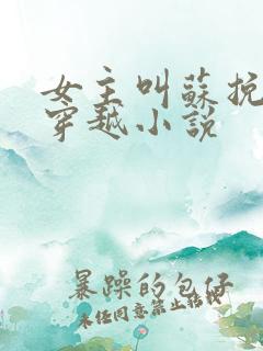 女主叫苏挽月的穿越小说