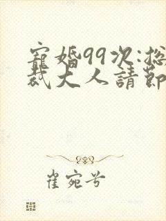 宠婚99次:总裁大人请节制