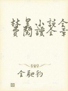 林昊小说全文免费阅读全章节
